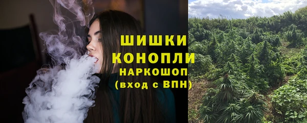 СК Вяземский